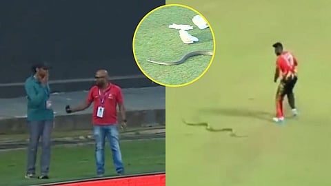 Snake in Lanka Premier League