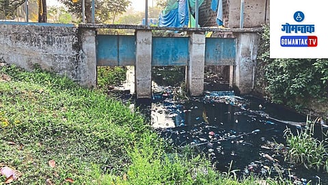 Goa Water Pollution