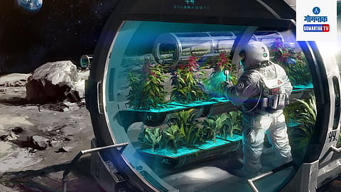 Agriculture In Space