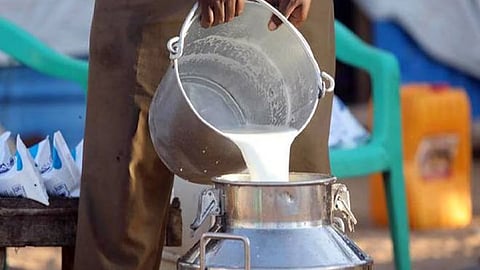Overview Of Goa Dairy Farm And Milk Production