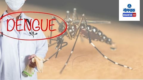 Dengue In Goa