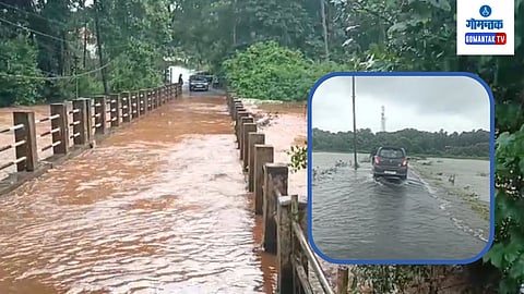 Goa Monsoon