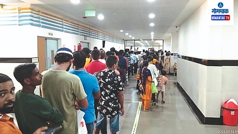 Dengue In Goa