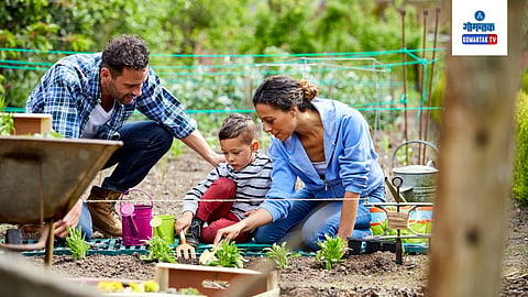 Gardening Mistakes