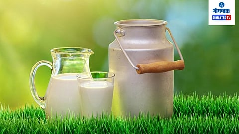 Goa Dairy
