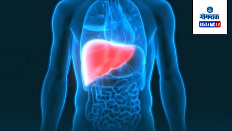 Fatty Liver