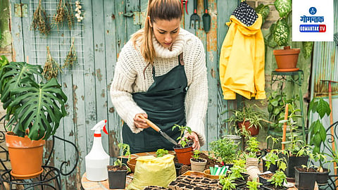Gardening Tips