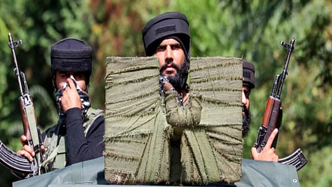 Trend Officer