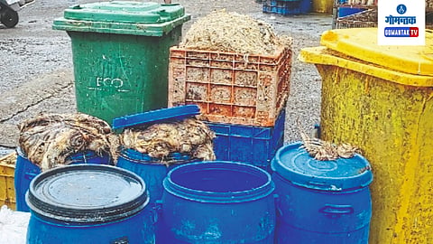 Chicken Garbage