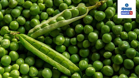 Green Peas Benefits