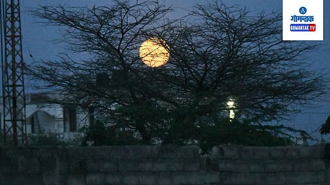 Sharad Purnima 2023