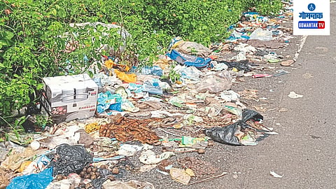Garbage on Road