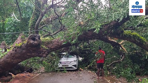Goa Accident