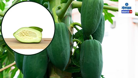 Raw Papaya Benefits
