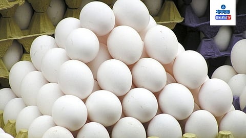 Egg Rate