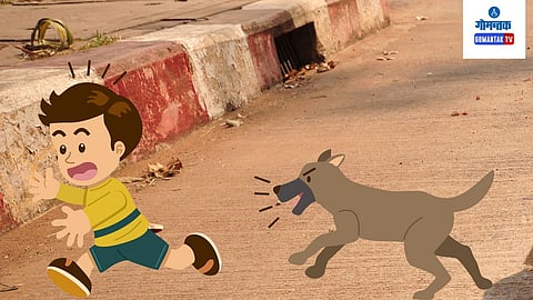 A ban on 'ferocious' dogs