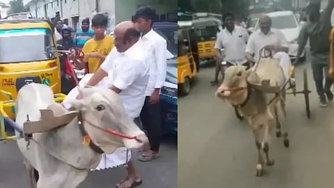 AIADMK Leader D Jayakumar Viral Video