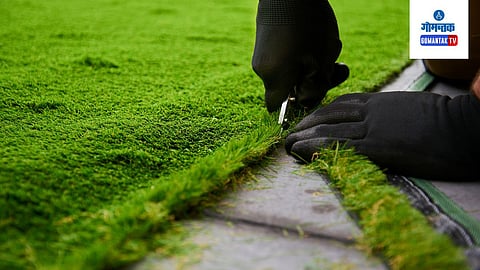 Artificial Grass