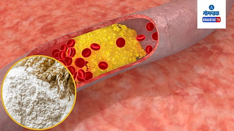Cholesterol Control