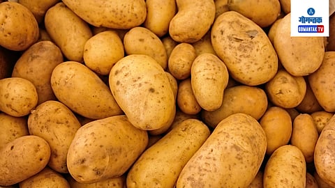 Vegetables In Goa: