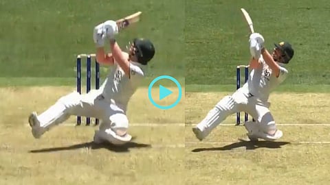 David Warner