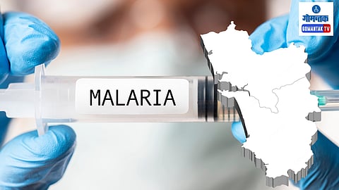 Goa Maleria Cases: