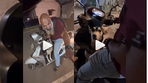 Goa Viral Video