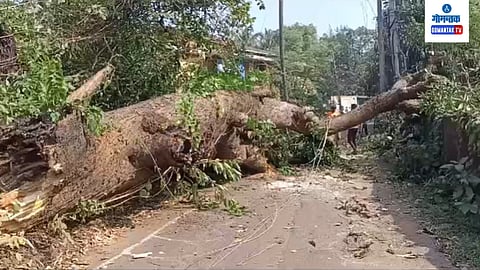 Siolim News