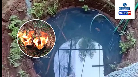 Vasco News