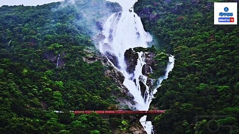 Dudhsagar Waterfall: पर्यटकांनो लक्ष द्या! 'दूधसागर'बाबत नवीन अपडेट, या वेबसाईटवरून करा Time Slot Booking