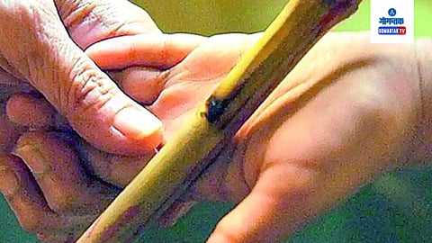 Student Assault Case: 16 वर्षीय विद्यार्थ्याला मारहाण करणाऱ्या शिक्षिकेविरोधात पोलिस कारवाई; चौकशीसाठी हजर राहण्याची तंबी