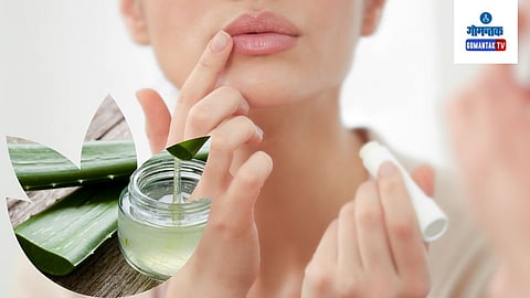 Lips Care