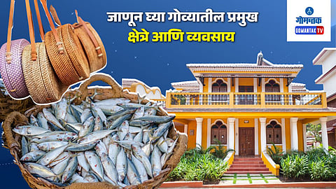 Business in Goa