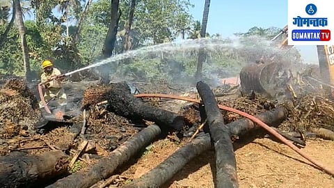 Goa News