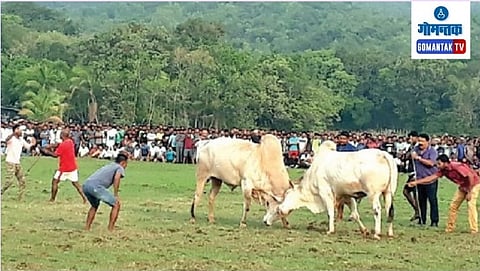 Bull Attack :