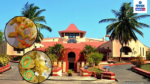 Goa University