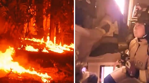 Chile Wildfire Viral Video