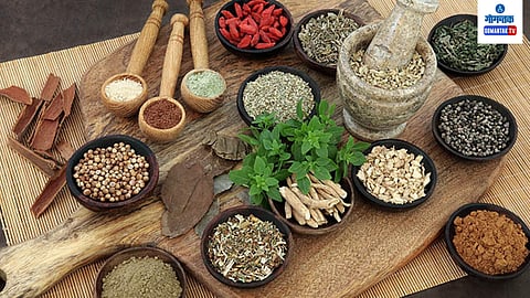 Ayurvedic Medicines