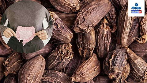 Benefits Of Having Black Cardamom