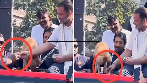 Bharat Nyay Yatra Rahul Gandhi