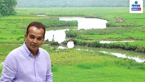 Comuninade Land