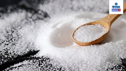 सावधान! मिठामुळे होऊ शकतो पोटाचा कॅन्सर; काय सांगतंय संशोधन? वाचा