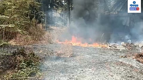 Goa Fire Case