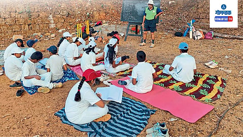 Cricket Training Camp