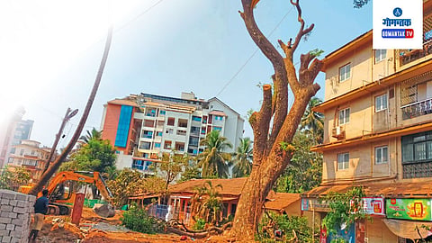 Panaji