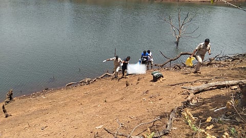 Gaunem Dam