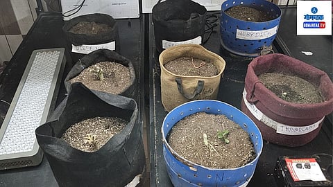 Goa Drug Case