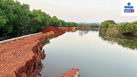 Tiswadi