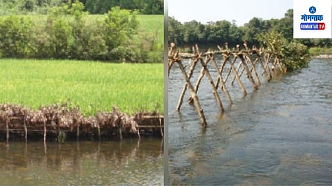 Goa Agriculture