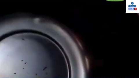Worms In Water